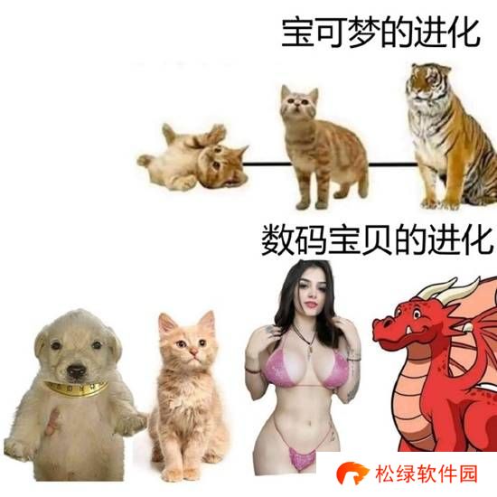 本站