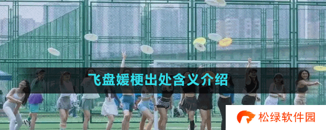 飞盘媛梗出处含义介绍